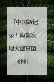 中国新记录！海盐发现大型真菌6种