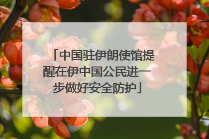中国驻伊朗使馆提醒在伊中国公民进一步做好安全防护