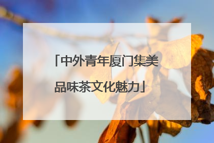 中外青年厦门集美品味茶文化魅力