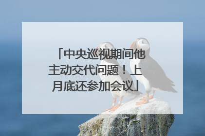 中央巡视期间他主动交代问题！上月底还参加会议