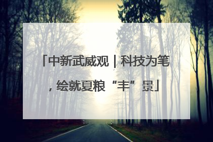 中新武威观｜科技为笔，绘就夏粮“丰”景