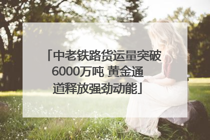 中老铁路货运量突破6000万吨 黄金通道释放强劲动能