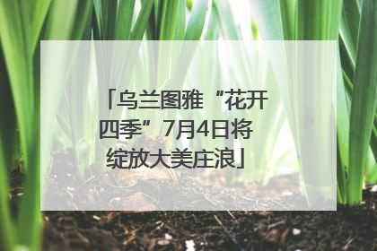 乌兰图雅“花开四季”7月4日将绽放大美庄浪