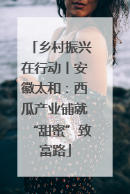 乡村振兴在行动丨安徽太和：西瓜产业铺就“甜蜜”致富路