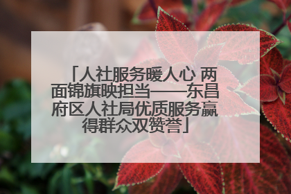 人社服务暖人心 两面锦旗映担当——东昌府区人社局优质服务赢得群众双赞誉