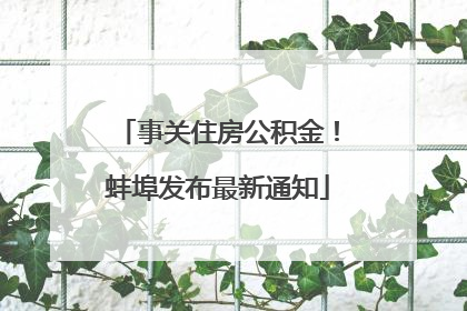 事关住房公积金！蚌埠发布最新通知