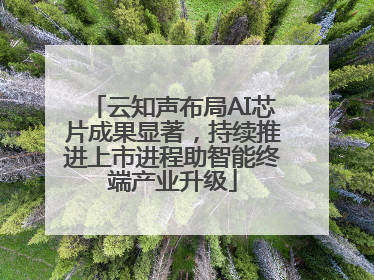 云知声布局AI芯片成果显著，持续推进上市进程助智能终端产业升级