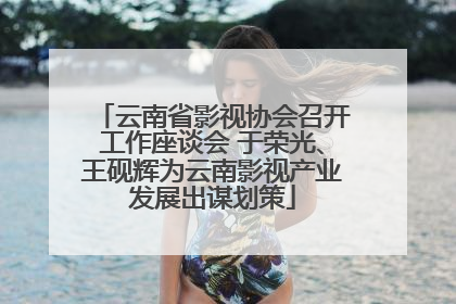 云南省影视协会召开工作座谈会 于荣光、王砚辉为云南影视产业发展出谋划策