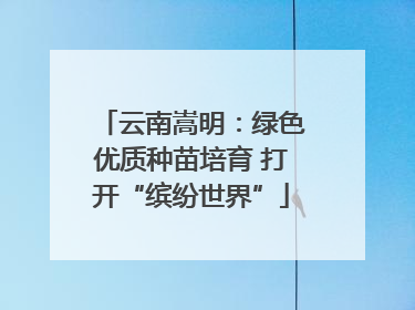 云南嵩明：绿色优质种苗培育 打开“缤纷世界”