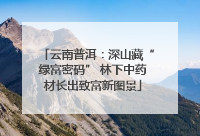 云南普洱：深山藏“绿富密码” 林下中药材长出致富新图景