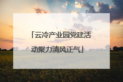 云冷产业园党建活动聚力清风正气