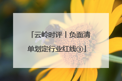 云岭时评丨负面清单划定行业红线③