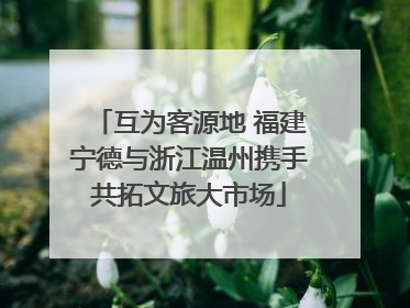 互为客源地 福建宁德与浙江温州携手共拓文旅大市场