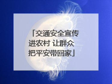 交通安全宣传进农村 让群众把平安带回家