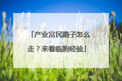 产业富民路子怎么走？来看临朐经验