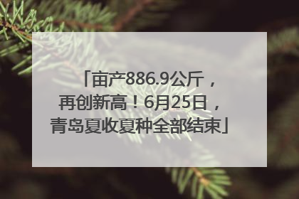 亩产886.9公斤，再创新高！6月25日，青岛夏收夏种全部结束