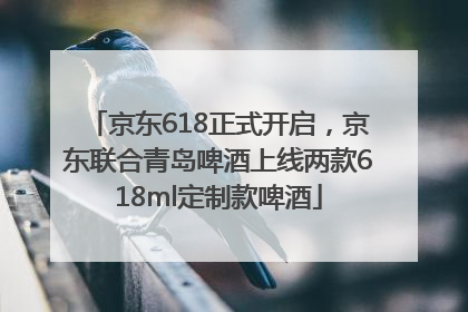 京东618正式开启，京东联合青岛啤酒上线两款618ml定制款啤酒