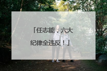 任志能，六大纪律全违反！