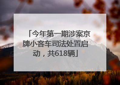 今年第一期涉案京牌小客车司法处置启动，共618辆