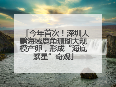 今年首次！深圳大鹏海域鹿角珊瑚大规模产卵，形成“海底繁星”奇观