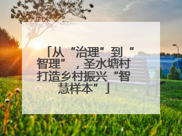从“治理”到“智理”，圣水塘村打造乡村振兴“智慧样本”
