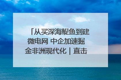 从买深海鳀鱼到建微电网 中企加速掘金非洲现代化｜直击中非经贸博览会