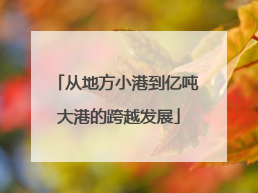 从地方小港到亿吨大港的跨越发展
