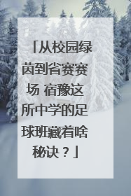从校园绿茵到省赛赛场 宿豫这所中学的足球班藏着啥秘诀？