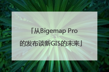 从Bigemap Pro的发布谈新GIS的未来