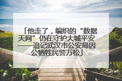 他走了，编织的“数据天网”仍在守护大城平安——追记武汉市公安局因公牺牲民警万松