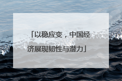 以稳应变，中国经济展现韧性与潜力
