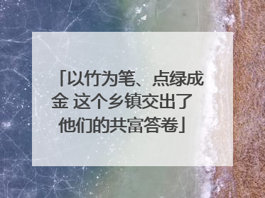 以竹为笔、点绿成金 这个乡镇交出了他们的共富答卷