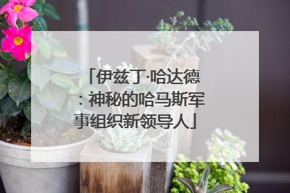 伊兹丁·哈达德：神秘的哈马斯军事组织新领导人