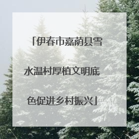 伊春市嘉荫县雪水温村厚植文明底色促进乡村振兴
