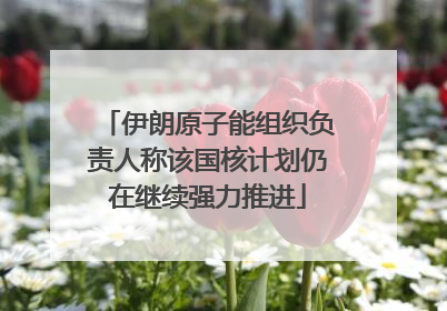 伊朗原子能组织负责人称该国核计划仍在继续强力推进