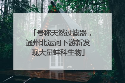 号称天然过滤器，通州北运河下游新发现大量蚌科生物