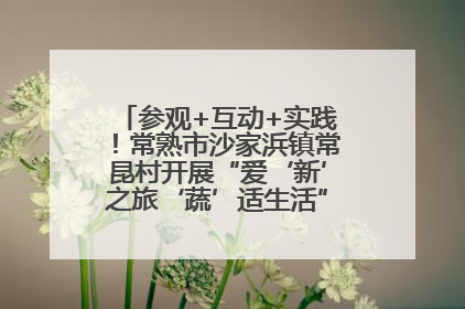参观+互动+实践！常熟市沙家浜镇常昆村开展“爱‘新’之旅‘蔬’适生活”参观学习活动