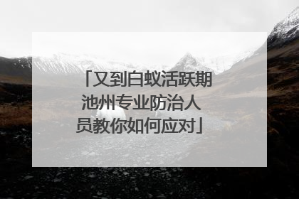 又到白蚁活跃期 池州专业防治人员教你如何应对