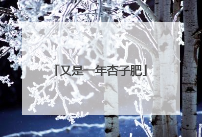 又是一年杏子肥