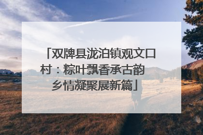 双牌县泷泊镇观文口村：粽叶飘香承古韵 乡情凝聚展新篇