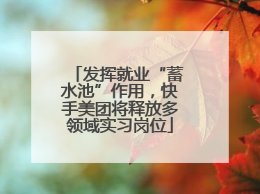 发挥就业“蓄水池”作用，快手美团将释放多领域实习岗位
