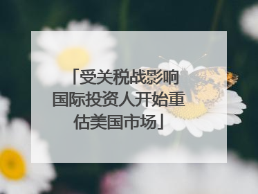 受关税战影响 国际投资人开始重估美国市场