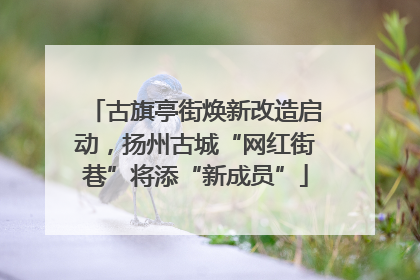 古旗亭街焕新改造启动，扬州古城“网红街巷”将添“新成员”