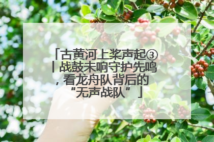 古黄河上桨声起③丨战鼓未响守护先鸣，看龙舟队背后的 “无声战队”