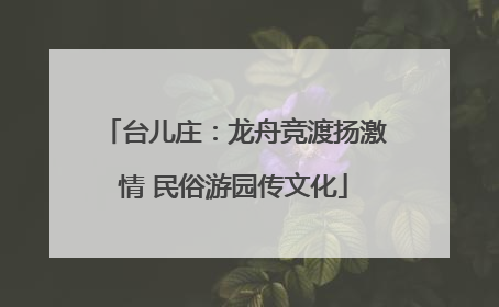 台儿庄：龙舟竞渡扬激情 民俗游园传文化