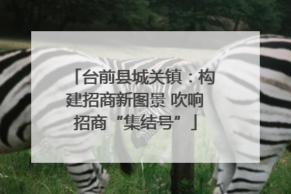 台前县城关镇：构建招商新图景 吹响招商“集结号”