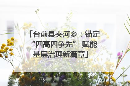 台前县夹河乡：锚定“四高四争先” 赋能基层治理新篇章