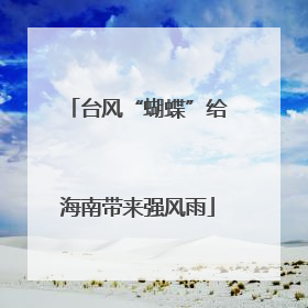台风“蝴蝶”给海南带来强风雨