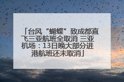 台风“蝴蝶”致成都直飞三亚航班全取消 三亚机场：13日晚大部分进港航班还未取消