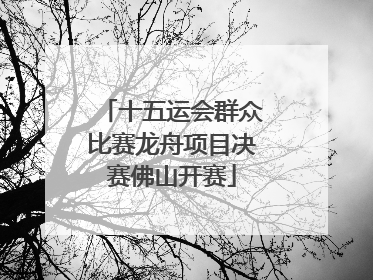 十五运会群众比赛龙舟项目决赛佛山开赛